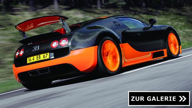 Veyron_Super_SportNEU-(15)