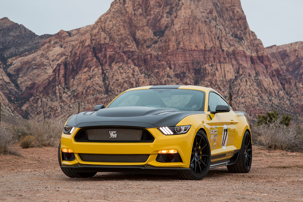 Ford Mustang Shelby Terlingua Racing Team 2016