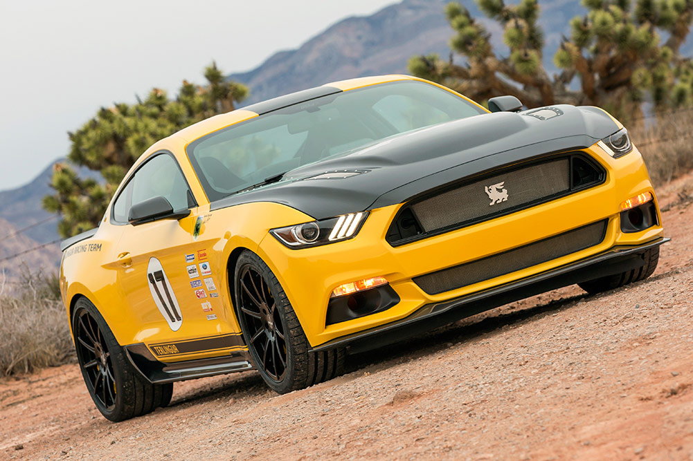 Ford Mustang Shelby Terlingua Racing Team 2016