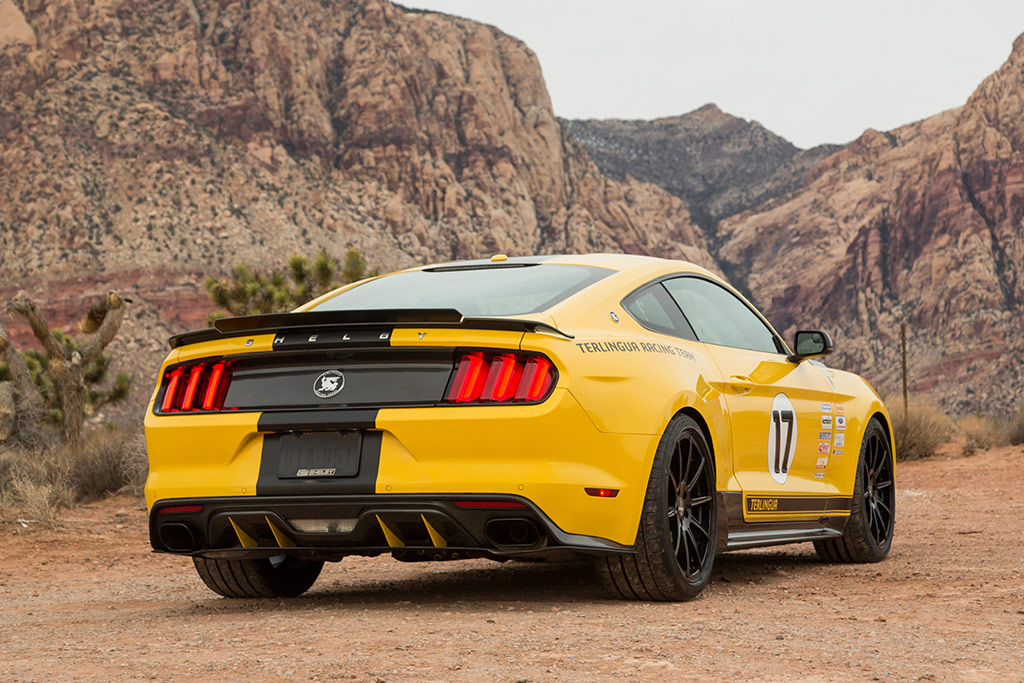 Ford Mustang Shelby Terlingua Racing Team 2016