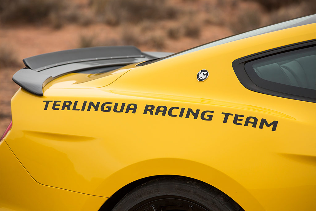 Ford Mustang Shelby Terlingua Racing Team 2016