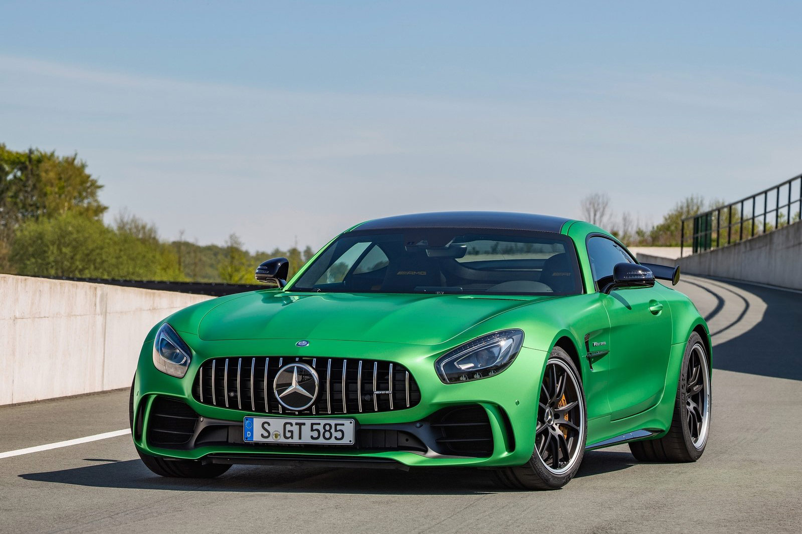 Mercedes-Benz-AMG_GT_R-(14)