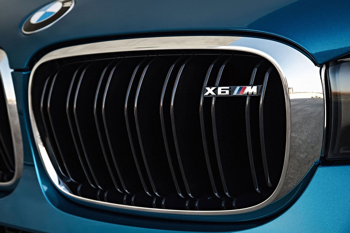 BMW-X6M-2014-(32)