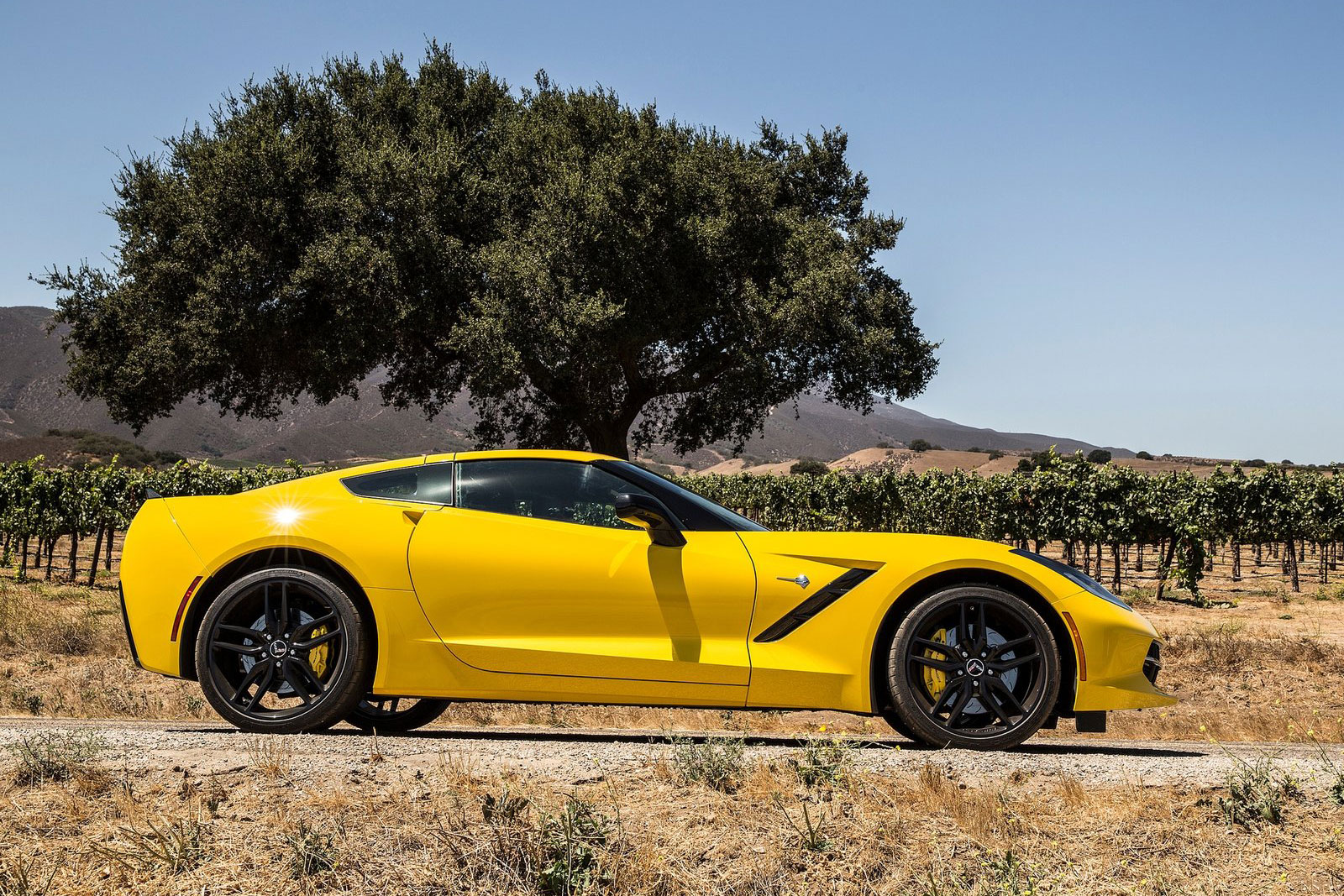 Corvette C7 STingray 2013