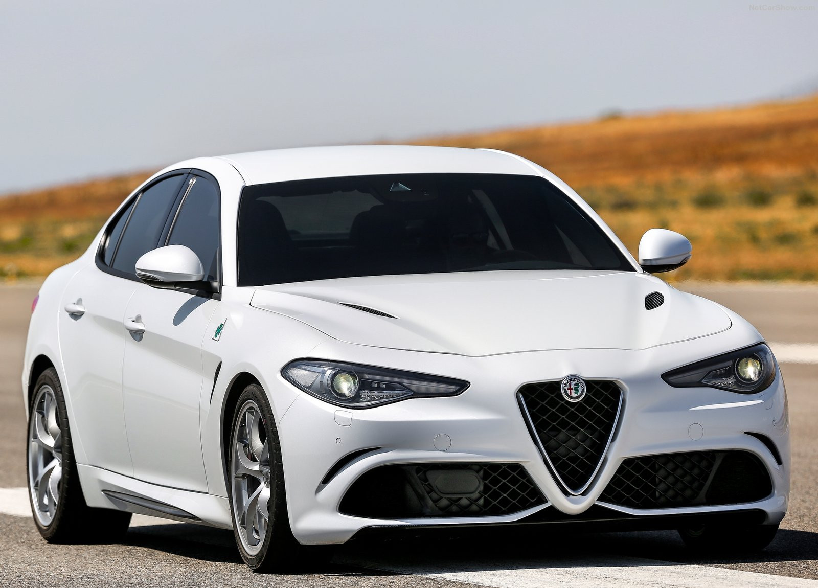 13. Platz: Alfa Romeo Giulia Quadrifoglio Verde