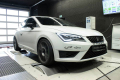 Seat Leon Cupra 280 (2)